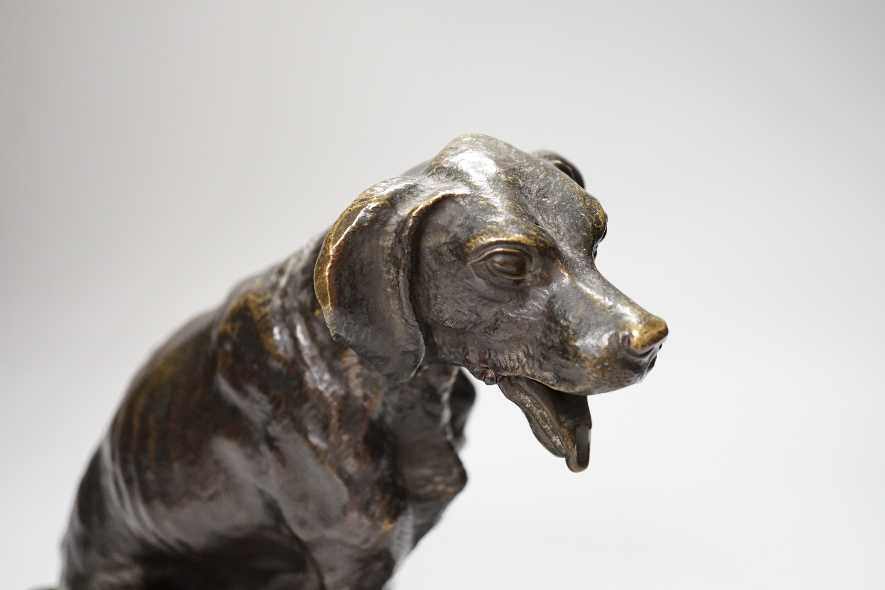A late 19th century bronze hound with an articulated mouth, 26cm high